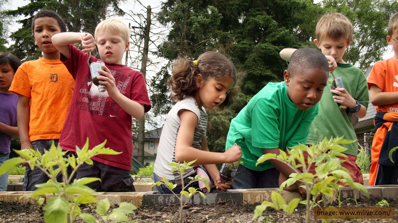 Planting ideas and veggies at school